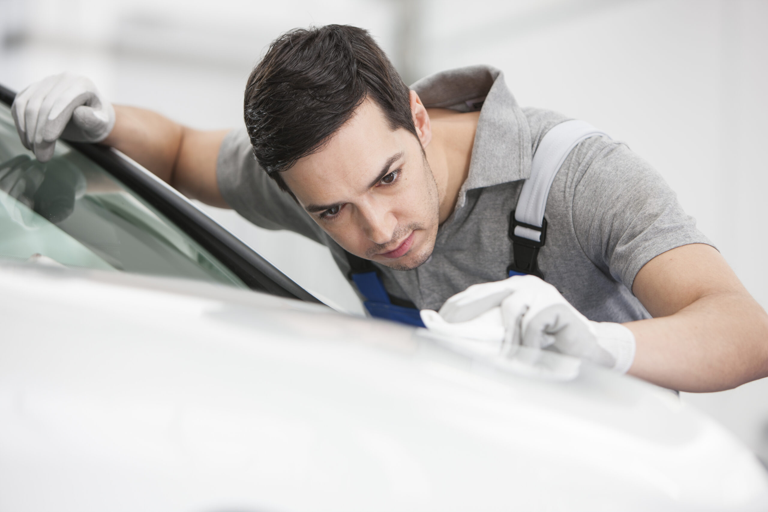 Vehicle Grooming